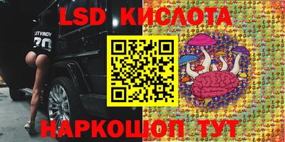 PSILOCYBIN Малоярославец